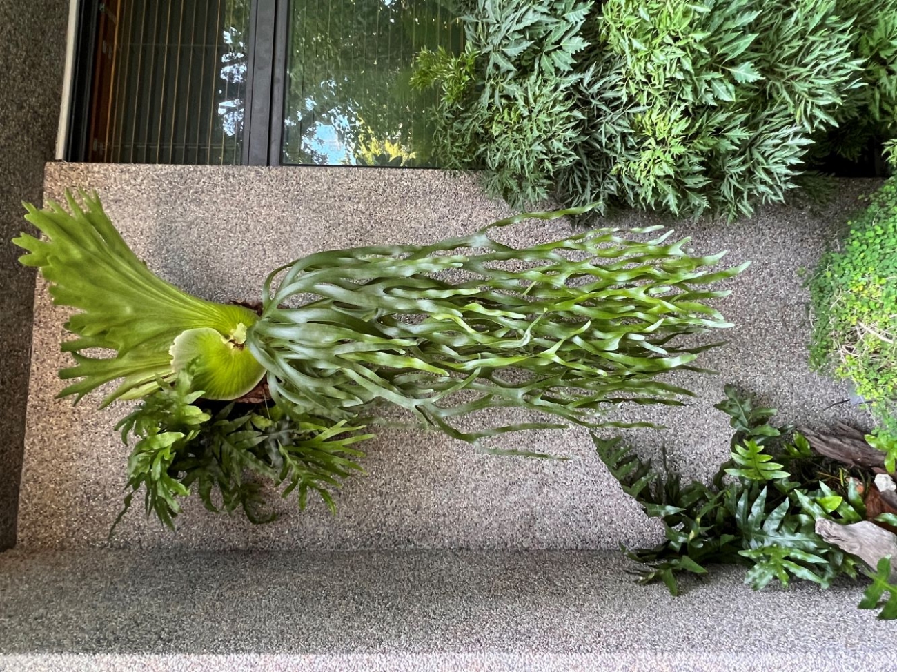 位於大樓1樓入口前庭規畫設計植栽及戶外休憩咖啡區內部前段接待沙發區及設計工作區/後段簡報會議室/自然隨興輕工業風
